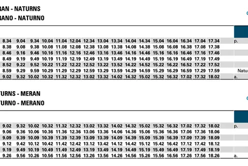 Am Ostermontag wird neben dem bereits bestehenden Ersatzverkehr (Linie B250) auch die zusätzliche Linie 251 in Betrieb genommen. Die Fahrpläne der neuen Linie sind auf dem Bild zu sehen: Sie können im PDF-Format unter Downloads heruntergeladen werden. (Foto: LPA/Landesamt für öffentlichen Nahverkehr)