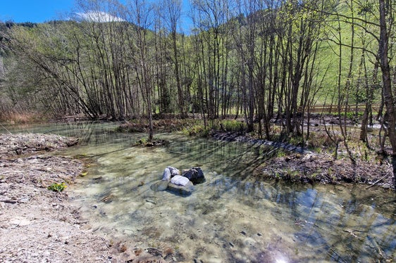 Der naturnah erweiterte Teich am Toffringbach ist eine ökologische Aufwertung.
(Foto: LPA/Landesamt für Wildbach- und Lawinenverbauung Nord in der Agentur für Bevölkerungsschutz)