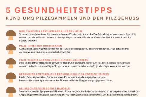 Tipps zum Pilzesammeln und zum Pilzgenuss (Grafik: LPA/Viktoria Huber)