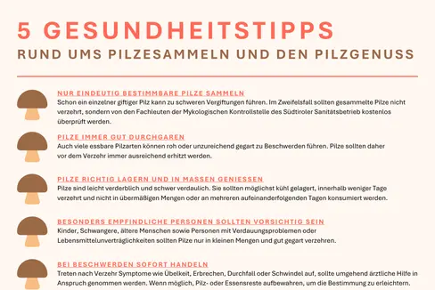 Tipps zum Pilzesammeln und zum Pilzgenuss (Grafik: LPA/Viktoria Huber)