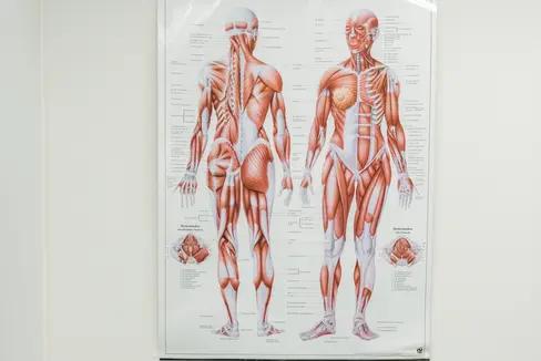 Herzinfarkt, Depression, Osteoporose, Diabetes oder Migräne und viele andere Erkrankungen verlaufen bei Frauen und Männern anders. Das Land will dazu beitragen, dieses Wissen in Forschung, Ausbildung und Alltagspraxis verankern. (Foto: LPA/Claudia Corrent)