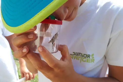 Nel corso della formazione degli Junior Ranger anche le piccole cose apparentemente insignificanti vengono passate al microscopio (Foto: AVS)