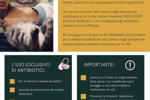 I Servizi veterinari della Provincia sensibilizzano l'opinione pubblica, con dei volantini, sull'uso attento degli antibiotici sugli animali domestici. (Foto: ASP/Servizio veterinario provinciale)