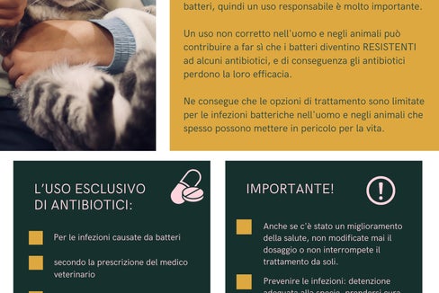 I Servizi veterinari della Provincia sensibilizzano l'opinione pubblica, con dei volantini, sull'uso attento degli antibiotici sugli animali domestici. (Foto: ASP/Servizio veterinario provinciale)