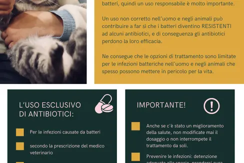 I Servizi veterinari della Provincia sensibilizzano l'opinione pubblica, con dei volantini, sull'uso attento degli antibiotici sugli animali domestici. (Foto: ASP/Servizio veterinario provinciale)
