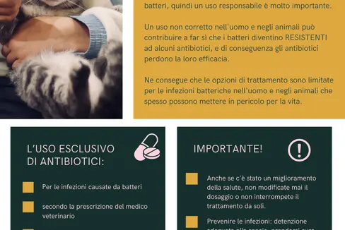I Servizi veterinari della Provincia sensibilizzano l'opinione pubblica, con dei volantini, sull'uso attento degli antibiotici sugli animali domestici. (Foto: ASP/Servizio veterinario provinciale)