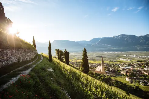 L'esame di abilitazione professionale per accompagnatori turistici sarà indetto a breve, la Giunta provinciale ha stabilito che le conoscenze linguistiche sono un requisito fondamentale (Foto: IDM Südtirol-Alto Adige/Benjamin Pfitscher)