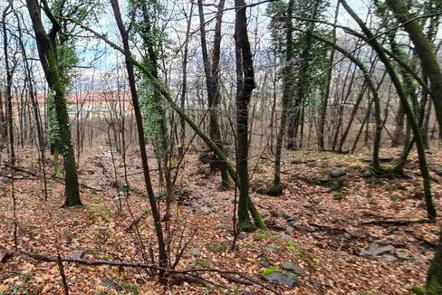 In questa zona boschiva sopra il quartiere di Aslago a Bolzano, l'Ufficio Sistemazione bacini montani sta realizzando una briglia di trattenuta per aumentare la protezione contro le piene. (Foto: USP/Ufficio Sistemazione bacini montani Sud dell'Agenzia per la Protezione civile)