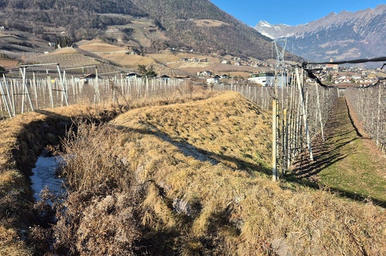 Con il secondo Statuto di autonomia del 1972, l'Alto Adige ha acquisito la proprietà dei beni idrici pubblici. (Foto: USP/Ufficio Demanio idrico)