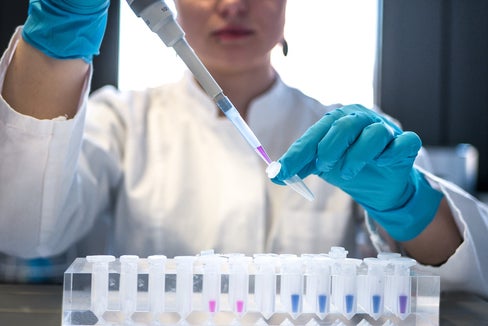 Für das Biologische Labor der Umweltagentur sucht die Personalabteilung einen technischen Inspektor oder eine Inspektorin. Bewerbungen für den Stellenwettbewerb sind bis 8. April möglich. (Foto: Unsplash)