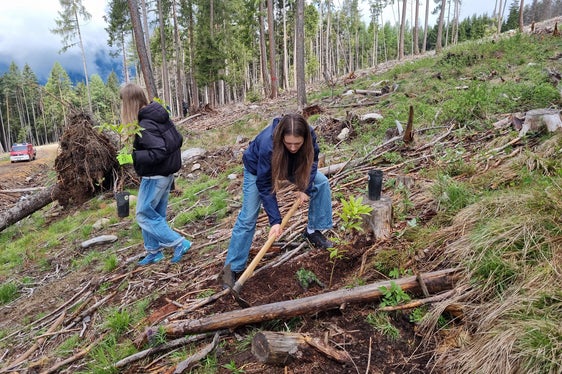 Alberi per il futuro: studentesse dell'ultimo anno delle scuole superiori piantano castagni, una specie arborea mista adatta al clima, per rafforzare la resilienza dei boschi ai cambiamenti climatici. (Foto: USP/Stazione forestale di Brunico)