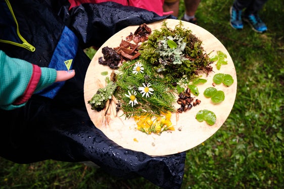 Kreativ sein mit Naturmaterialen – dies und vieles mehr bieten die Familienwanderungen in den sieben Südtiroler Naturparks. (Foto: LPA/Oliver Oppitz)