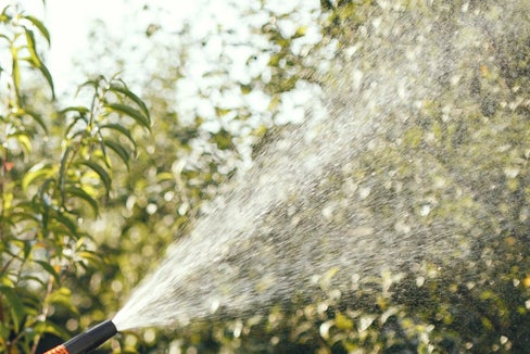 Für das Versorgungsgebiet der Beregnungsanlage Prad mit Einzugsgebiet Suldenbach und Tramentanbach ist der Wassernotstand ausgerufen. (Foto: Pexels/gustavo fring)