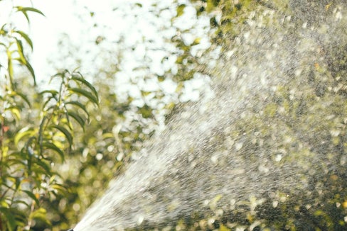 Für das Versorgungsgebiet der Beregnungsanlage Prad mit Einzugsgebiet Suldenbach und Tramentanbach ist der Wassernotstand ausgerufen. (Foto: Pexels/gustavo fring)