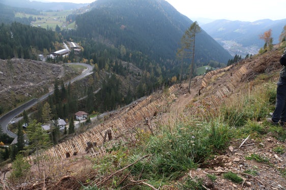 L'area colpita dalla tempesta di Vaia copre un totale di circa 6.000 ettari, che corrisponde all'1,7% della superficie forestale totale dell'Alto Adige.(Foto: ASP/Noemi Prinoth)