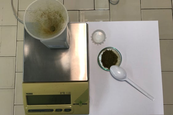 La preparazione del campione viene effettuata presso il Laboratorio biologico e consiste nel ripulire i muschi da humus, aghi di pino ed altri detriti (Foto: APPA)