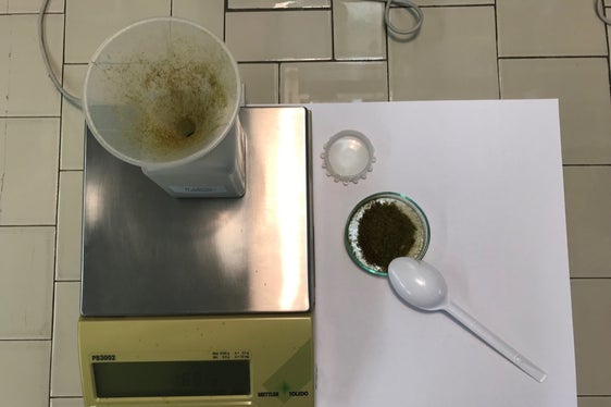 Die Probenvorbereitung findet im Biologischen Labor statt: Die Moose werden von Verunreinigungen befreit, anschließend getrocknet und gemahlen. (Foto: LPA/Landesagentur für Umwelt und Klimaschutz)