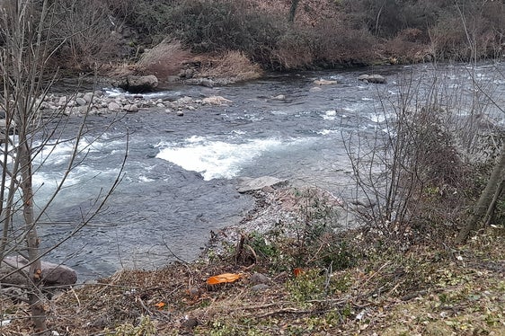 La manutenzione in tratti diversi del fiume favorisce un’elevata diversificazione della vegetazione ed assicura la sostenibilità degli interventi (Foto: ASP/Maja Clara)