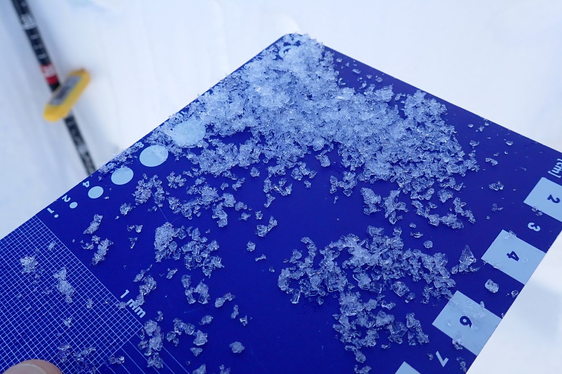 Indagine del manto nevoso: cristalli angolari su una griglia di neve (Foto: Ufficio meteorologia e prevenzione valanghe /Servizio prevenzione valanghe Alto Adige )