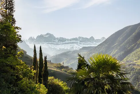 Dalle palme alla neve, gli ospiti in Alto Adige trovano una vasta gamma di offerte. L'Alto Adige conta sempre più pernottamenti. La qualità della vita nella provincia è elevata: che influenza ha il turismo su questo dato? Uno studio che sarà presentato lunedì fornisce alcune risposte. (Foto: IDM/Peter Kaser)