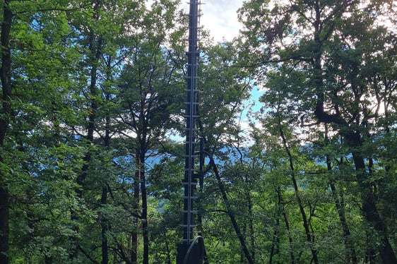 Il pilone di trasmissione installato nel bosco di Monticolo (Foto: RAS)