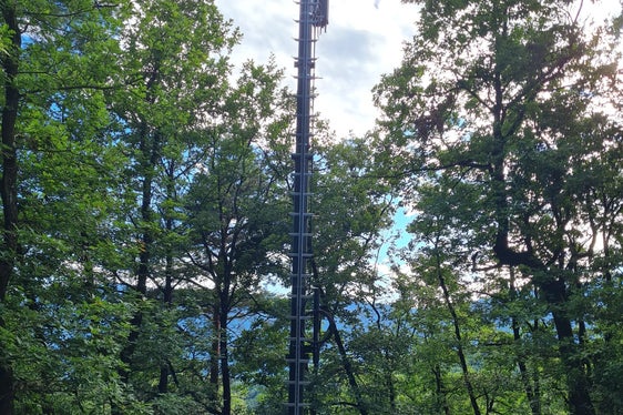 Il pilone di trasmissione installato nel bosco di Monticolo (Foto: RAS)