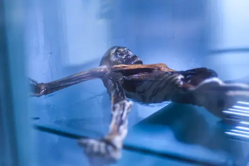 Am 19. September vor 30 Jahren wurde die Gletschermumie Ötzi entdeckt. (Foto: SAM/Luca Guadagnini)