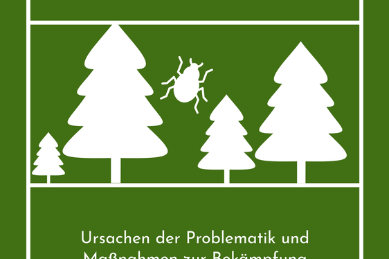 Der nächste Borkenkäfer-Infoabend findet am 7. Dezember um 20 Uhr in Mals statt. (Foto: LPA)