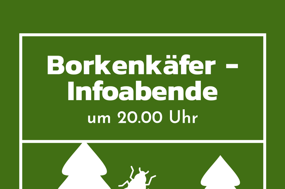 Der nächste Borkenkäfer-Infoabend findet am 7. Dezember um 20 Uhr in Mals statt. (Foto: LPA)