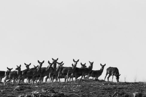 (Foto: Ismaele Tortella)