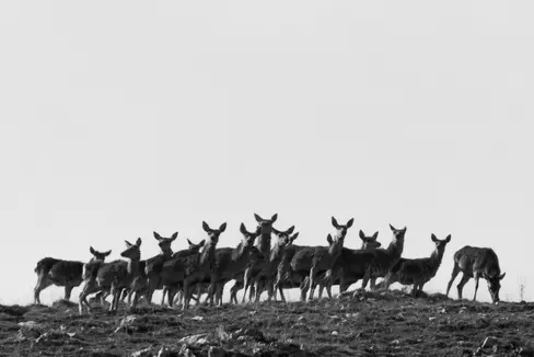 (Foto: Ismaele Tortella)