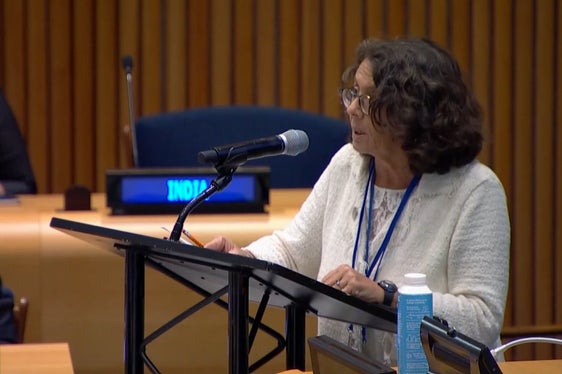 Anche la viceministra italiana degli Esteri ha citato l'Alto Adige quale esempio per la convivenza di diversi gruppi linguistici e la risoluzione dei conflitti internazionali (Foto: UN Web TV)