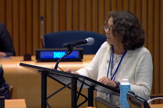 Anche la viceministra italiana degli Esteri ha citato l'Alto Adige quale esempio per la convivenza di diversi gruppi linguistici e la risoluzione dei conflitti internazionali (Foto: UN Web TV)