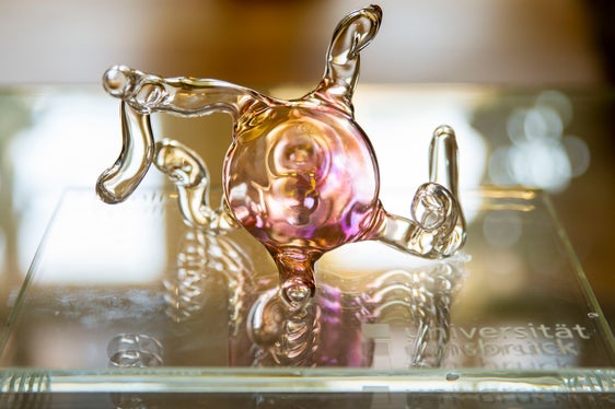 Die Sporen der neu entdeckten Pilzart namens Tyroliella als Glaskunstwerk (Foto: LPA/Fabio Brucculeri)