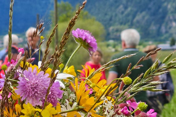 Das Wiesenwassern hat auch eine große Bedeutung für den Erhalt der artenreichen Wiesen. (Foto: Heimatpflegeverband Südtirol)