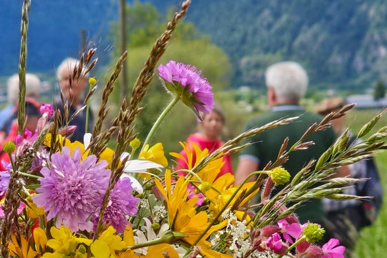Das Wiesenwassern hat auch eine große Bedeutung für den Erhalt der artenreichen Wiesen. (Foto: Heimatpflegeverband Südtirol)