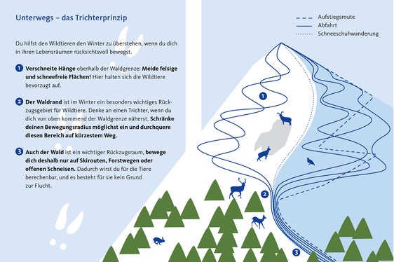 Sich im Lebensraum der Wildtiere rücksichtsvoll bewegen und diese Bereiche auf kürzestem Weg durchqueren: Das sieht das Trichterprinzip vor. (Foto: LPA)