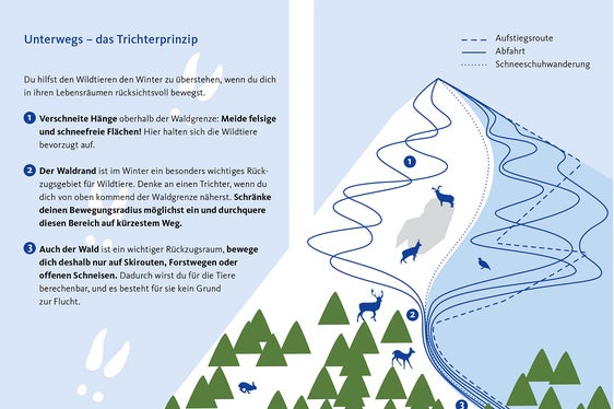 Sich im Lebensraum der Wildtiere rücksichtsvoll bewegen und diese Bereiche auf kürzestem Weg durchqueren: Das sieht das Trichterprinzip vor. (Foto: LPA)