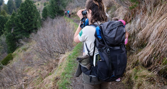 Im Sommer 2023 hatten Jugendliche die Gelegenheit an verschiedenen Projekten zum Naturschutz teilzunehmen und mitzuarbeiten. (Foto: Oliver Oppitz)