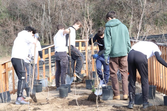 In collaborazione con la classe 4C del Realgymnasium e la Giardineria di Merano, l'Ufficio bacini montani Ovest progetta una zona ricreativa presso la diga sul rio Mut, vicino a Merano (Foto: ASP/Maja Clara)
