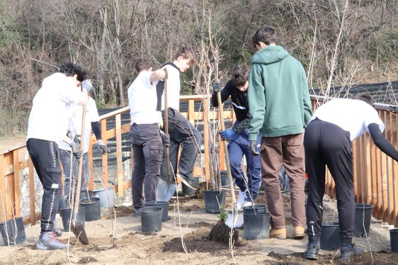 Auftakt zur Bepflanzung des Schutzdammes am Mutbach unterhalb von Gratsch: Schüler der Klasse 4C des Realgymnasiums Meran (Foto: LPA/Maja Clara)