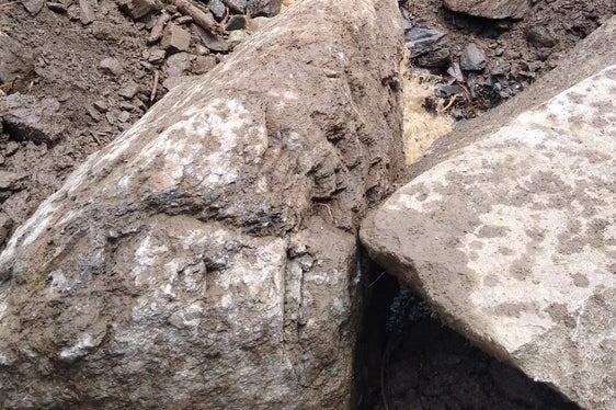 Bacini montani al lavoro: la frana verificatasi ieri a Selva dei Molini (Foto: Protezione civile/Bacini montani Est)