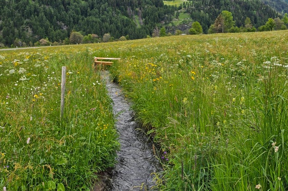 2023 wurde auch die Traditionelle Bewässerung (Obervinschgau) als transnationales Element in die Repräsentative Liste des Immateriellen UNESCO Kulturerbes aufgenommen. (Foto: LPA)