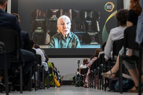 L'intervento di Jane Goodall, collegata telematicamente (Foto: ASP/Tiberio Sorvillo)