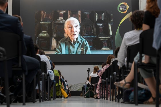 L'intervento di Jane Goodall, collegata telematicamente (Foto: ASP/Tiberio Sorvillo)