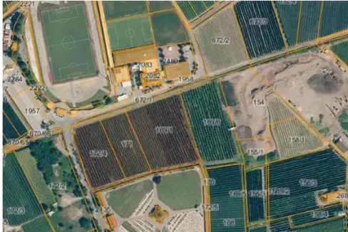 Die Landesregierung hat den Ankauf des Biotops „Galizien“ in Leifers für insgesamt 957.900 Euro genehmigt. Das Biotop gilt als ökologisch wertvoller Lebensraum, dessen Pflege und Aufwertung durch den Ankauf langfristig vom Land sichergestellt werden sollen. (Foto: LPA)