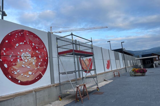 Presso il Centro mobilità di Bressanone, in questi giorni, l'artista bolzanino Egeon sta decorando la barriera antirumore con 19 funghi giganti (Foto: ASP/Matteo Picelli)