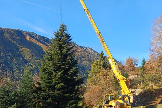 Das Personal der Forstlichen Aufsichtsstelle Aicha und der Forstlichen Aufsichtsstelle Moos hat am 5. November um 8 Uhr mit den Arbeiten zur Fällung der Tanne begonnen; das Foto vom Stationsleiter der Forstlichen Aufsichtsstelle Moos in Passeier entstand während der Verladung um etwa 10 Uhr. (Foto: LPA/Forstliche Aufsichtsstelle Moos in Passeier/Erwin Pixner)