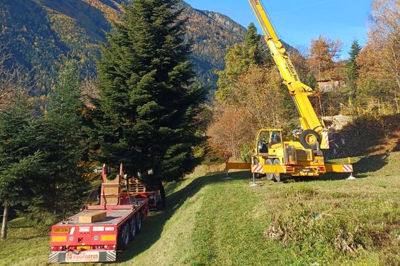 Il personale dell'Ispettorato forestale di Aica e di Moso ha iniziato a lavorare all'abbattimento dell'abete alle 8 del mattino del 5 novembre; la foto del capostazione dell'Ispettorato forestale di Moso in Passiria è stata scattata durante la procedura di carico dell'arbusto, attorno alle 10 del mattino. (Foto: USP/Vivaio forestale di Aica/Markus Pfeifer)