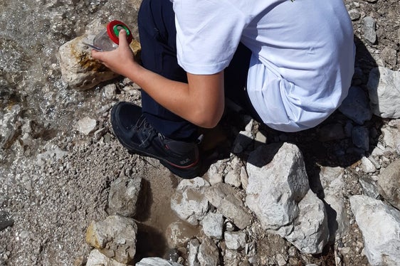 Scoprire la natura con tutti i sensi: anche le piccole cose insignificanti vengono esaminate attentamente dai bambini nell'ambito della formazione per Junior Ranger. (Foto: USP/Ufficio Natura)